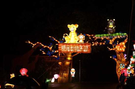 首家山地夜間探密與自貢燈會(huì)元素相融的夜間野生動(dòng)物園開門迎客（圖）